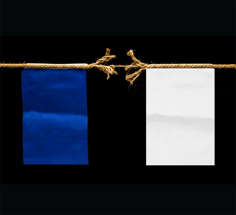 (출처=셔터 스톡, 편집=조희연 기자)