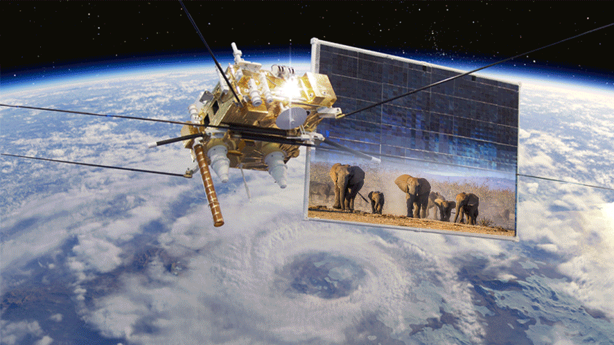 (출처=셔터스톡, 편집=조희연 기자)