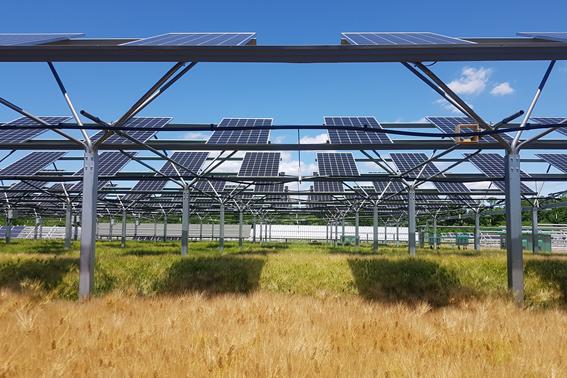 영남대학교 MW 실증단지에는 SSP 시스템으로 영농형 태양광 시설이 설치됐다. (사진=모든솔라 제공).