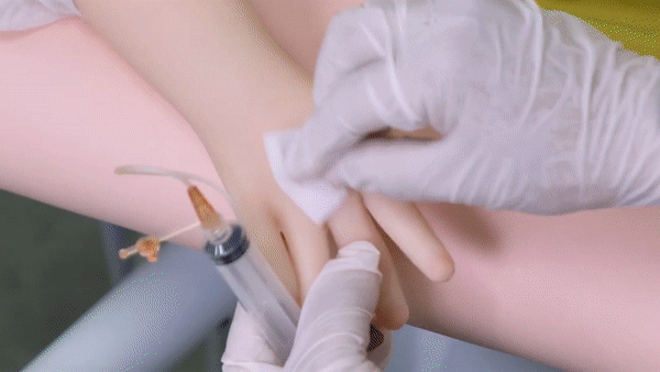 페디아 로이드를 대상으로 채혈 실습을 하는 모습. (사진=테무잣쿠 유튜브 캡처).