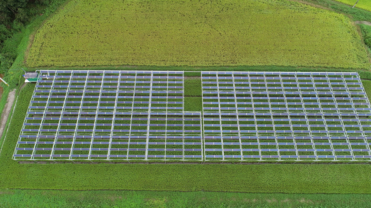 전남 보성 옥암리에 위치한 영농형 태양광 실증단지. (사진=보성농협 제공).