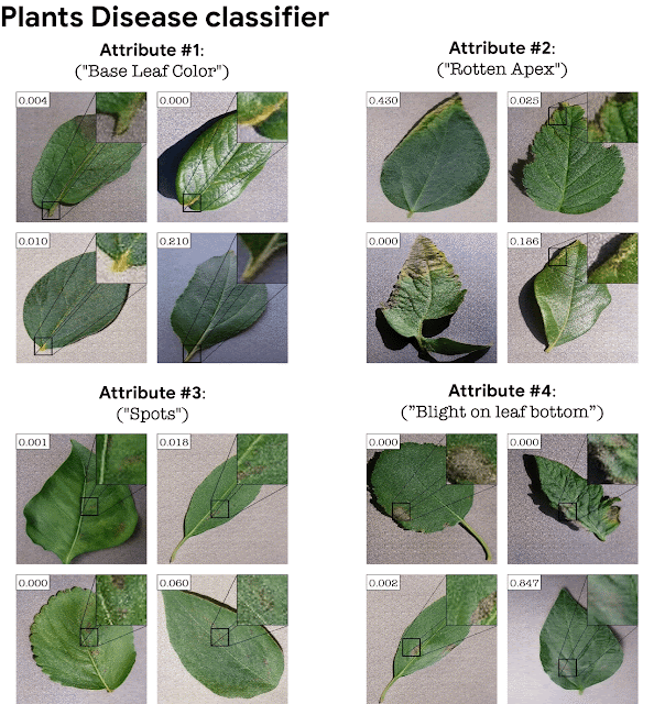 병들거나 건강한 잎 이미지 분류기에 대해 자동으로 감지된 속성입니다.(사진=구글 블로그)