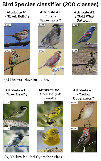 StylEx가 200가지 조류 종 분류기에서 속성을 자동으로 감지한다.(사진=구글 블로그)