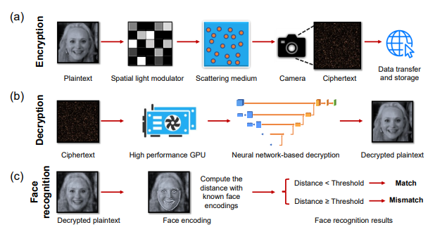 얼굴 인식을 위해 제안된 암호 시스템의 흐름도. (a) 암호화: 암호 이미지를 생성하기 위해 원본 얼굴 이미지를 공간 광 변조기(spatial light modulator)를 통해 비밀 키 역할하는 산란 매체에 투과한다. (b) 복호화: 원본과 암호 이미지를 연결하도록 신경망을 훈련시킨 후 암호 이미지는 복호화를 위해 신경망에 직접 입력되고 복호화된 얼굴 이미지는 얼굴 인식에 활용된다. (c) 얼굴 인식: 복호화된 이미지와 알려진 얼굴 인코딩 사이의 얼굴 인코딩 거리가 계산된다. 인코딩 거리가 미리 설정된 임계값보다 작으면 얼굴 인식 결과는 ‘일치’(동일인)이고, 그렇지 않으면 ‘불일치’(다른 사람)이다.(사진=홍콩 폴리테크닉 대학)