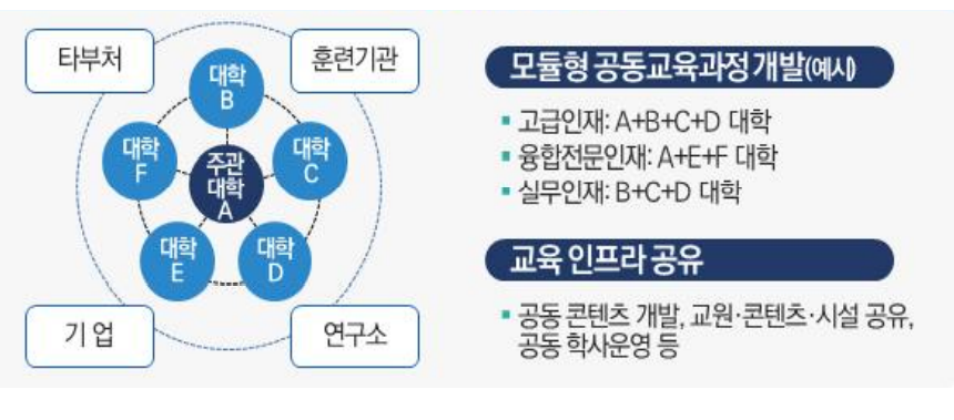 '디지털 신기술 인재 양성 혁신공유대학' 개념도. (사진=전남대학교 제공).
