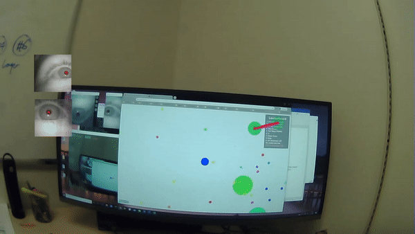 실제 안구 운동 데이터를 수집하는 대신 인간의 안구 움직임을 시뮬레이션하는 "가상 눈" 세트가 개발됐다.(영상=듀크대학교)