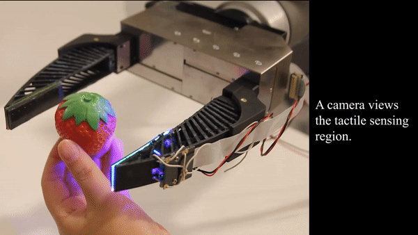 손가락에 내장된 카메라가 물체의 외형과 표면 거칠기, 가해지는 힘 등을 분석한다. 실제로 로봇 손이 딸기를 들고 있는 동안 표면의 씨앗까지 감지해 냈다. (사진=MIT CSAIL)