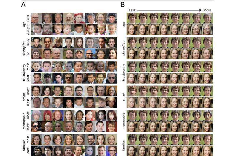 6개의 샘플 인식 속성 차원을 따라 평균적으로 가장 높은 등급과 가장 낮은 등급을 갖는 것으로 판단되는 얼굴(A)과 2개의 얼굴 사진 샘플을 모델 기반으로 각 속성을 따라 조작한 얼굴(B).(사진=프린스턴 대학)