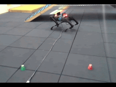 두 다리 균형 작업에 대한 초기 훈련 단계.(사진=구글)