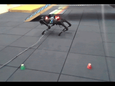 두 다리 균형 작업에 대한 후반부 훈련 단계.(사진=구글)