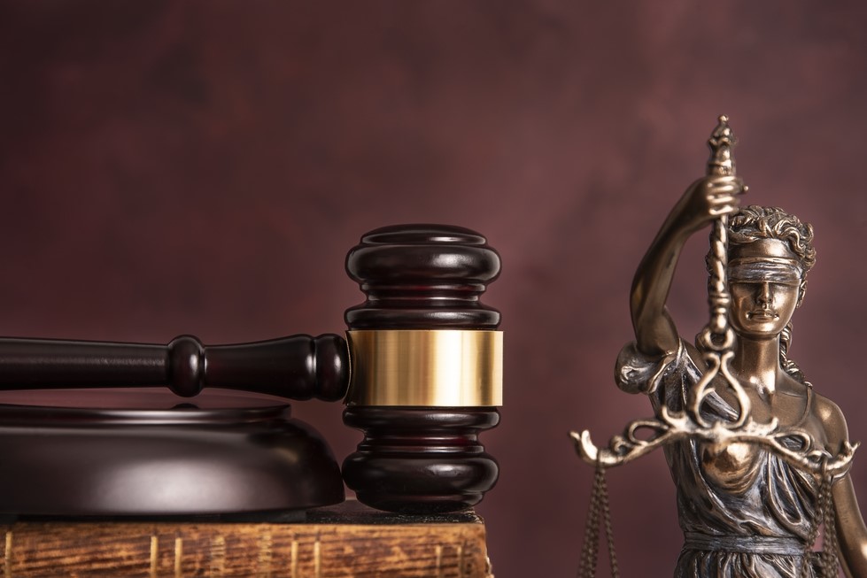 일본에서는 앞으로 민사 재판과 이혼 조정 등이 온라인으로 진행할 수 있게된다. (사진=셔터스톡).