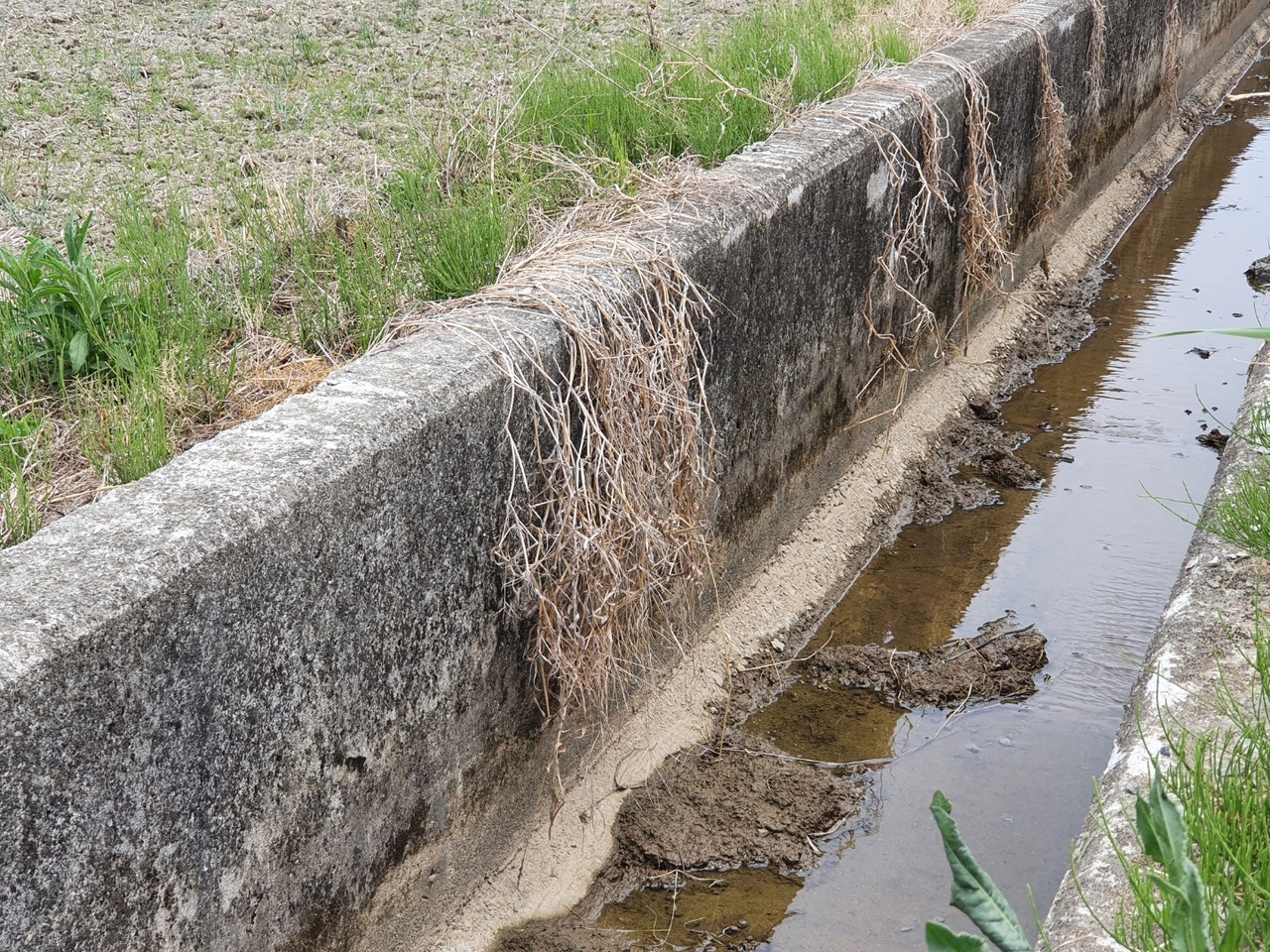 19일 오후 2시에 촬영한 나주시 문평면의 한 농업용 토지. 농업용수가 공급되지 않고 있다.