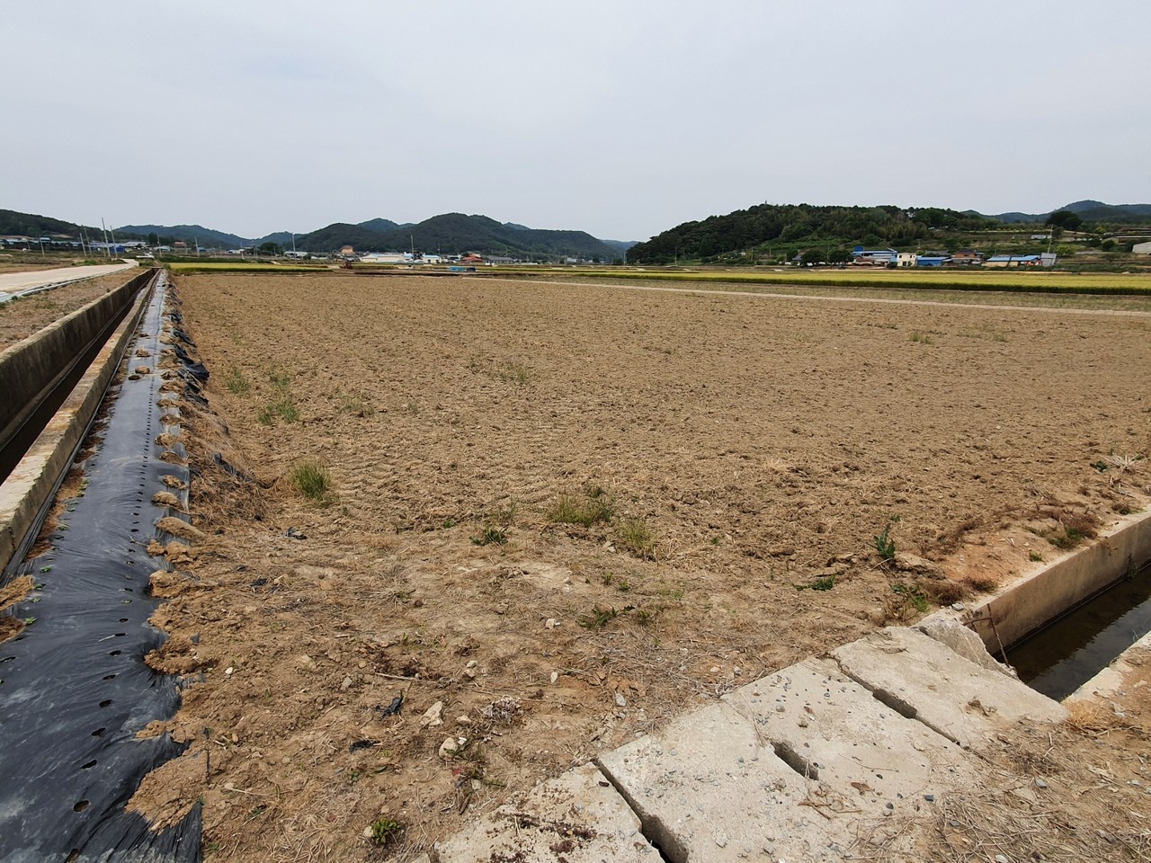 농업용수 공급이 안돼 나주시 문평면 일대는 농업 활동이 이뤄지지 않고 있다.