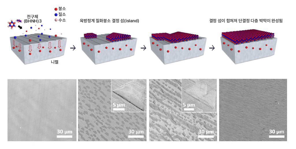 단결정 다층 질화붕소 박막이 합성되는 과정(사진=UNIST)