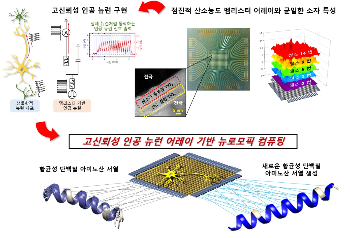 이번 연구에서 만든 인공 뉴런 소자 어레이와 인공 뉴런 구현 결과. 이를 바탕으로 새로운 다백질을 생성하는 뉴로모픽 컴퓨팅 구현 개념도. (사진=카이스트)