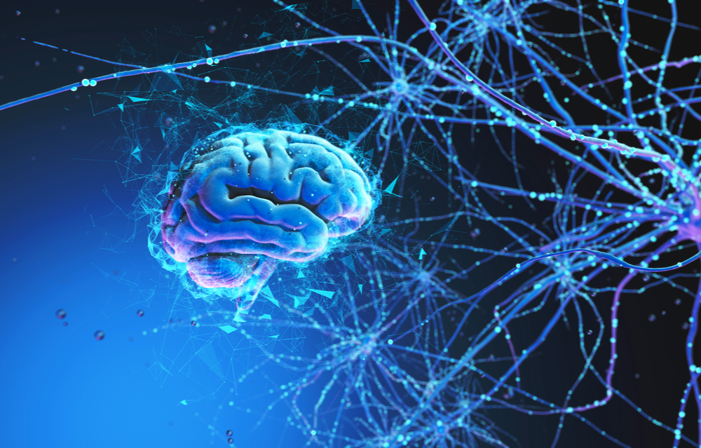 인공 시냅스·인공 뉴런을 하나의 칩에 구현하는 ‘시냅스-뉴런 동시 집적 기술’연구가 추가로 필요하다. (사진=셔터스톡)