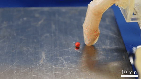 타케우치 쇼지 도쿄대 교수 연구팀은 실제 사람 손가락처럼 물체를 다룰 수 있는 로봇 손가락을 개발했다. 향후 인간의 감각신경과 손톱, 땀샘, 모낭 등도 구현해 보다 정교한 로봇 손가락을 만들 계획이라고 밝혔다. (영상=Matter).  
