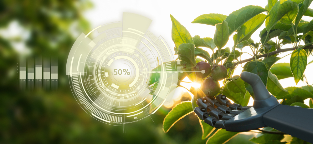  최근 인공지능(AI) 기술이 달콤한 과일과 신선한 고기 등을 알아내는 데 활용되고 있다. (사진=셔터스톡).