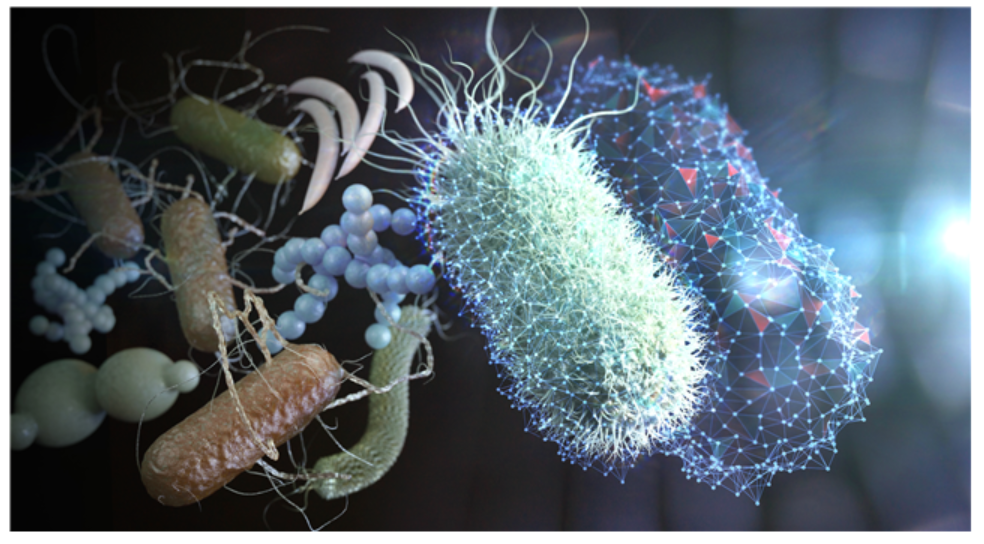 인공지능(AI)과 3차원 홀로그램을 접목해 병원균 종류를 식별하는 기술이 나왔다. (사진=카이스트).