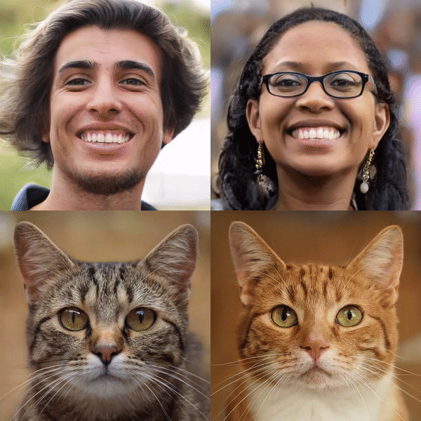 최근 스탠퍼드대학교 연구팀이 개발한 인공지능(AI) 모델 ‘EG3D’는 기본 기하학적 구조를 토대로 얼굴과 물체의 고해상도 이미지를 무작위로 만들어낼 수 있다. (영상=Stanford Computational Imaging Lab).