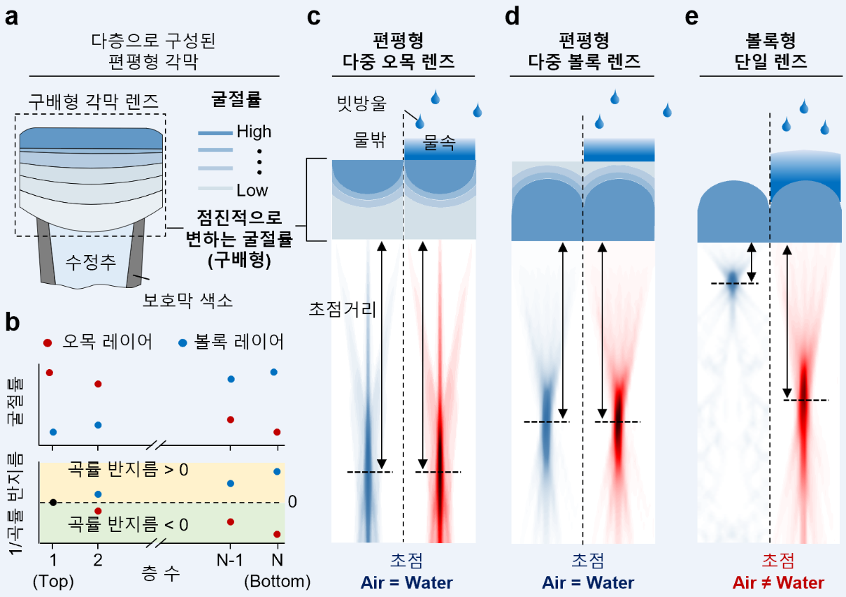 생체모방 편평형·구배형 다중 마이크로렌즈의 전천후 특성. (a) 농게의 홑눈 다중 각막 렌즈 모식도 (b) 단일 렌즈의 모양에 따른 곡률 반지름 및 굴절률의 경향도 (c-e) 전천후에서 편평형 다중렌즈와 볼록형 단일렌즈의 초점거리 비교. (자료=송영민 지스트 교수 제공).