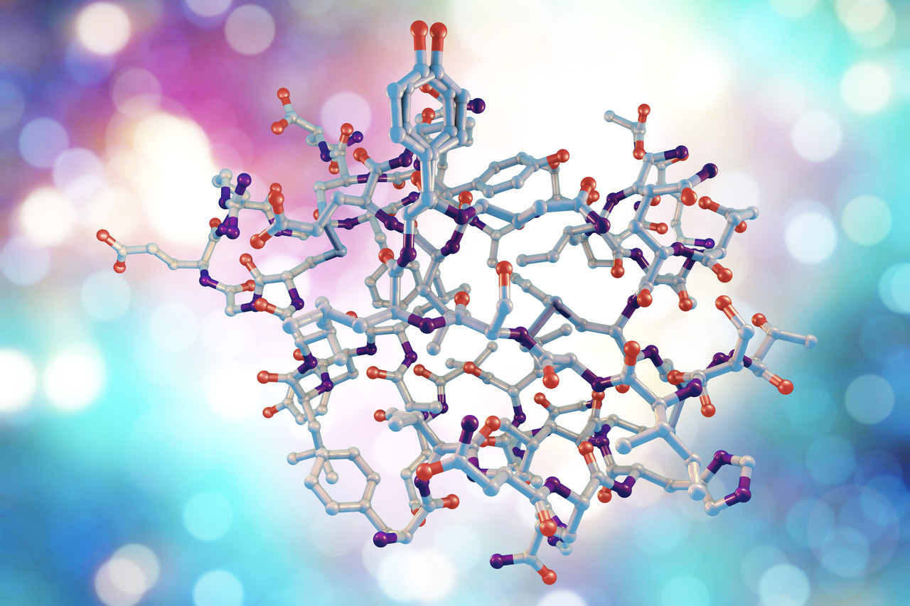 MIT 연구자들이 '이퀴바인드(EquiBind)'라는 기하학적 딥러닝 모델을 개발해 약물 유사 분자를 단백질에 성공적으로 결합한 것으로 알려졌다. (사진=셔터스톡)