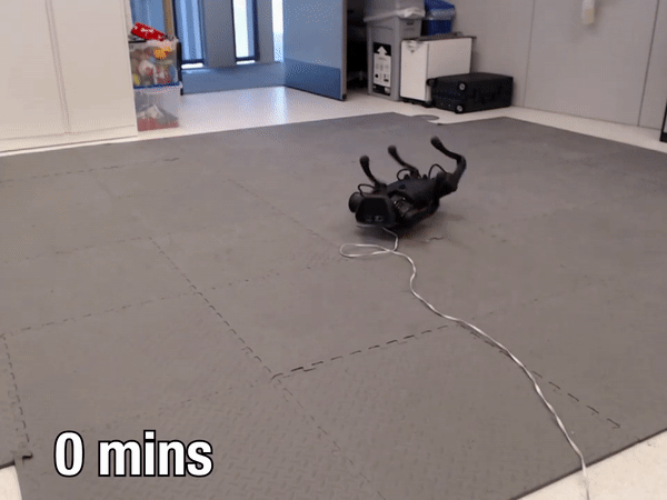 연구팀은 ‘드리머(Dreamer)’라는 알고리즘을 토대로 강화학습을 활용해 실제 환경에서 로봇개가 걸을 수 있도록 훈련시켰다. (영상=Danijar Hafner 유튜브 채널).