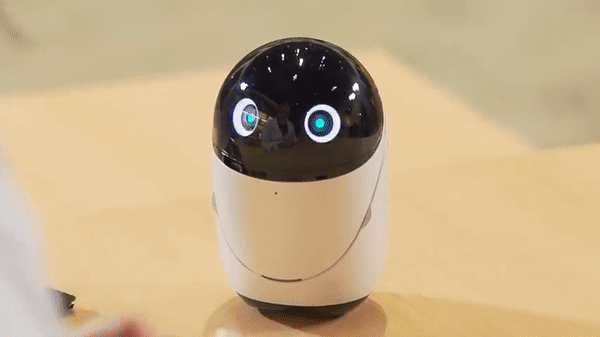 소니 '포이쿠'가 춤을 추는 모습. (사진=雨宮天のてくてく天ちゃん 유튜브 채널).