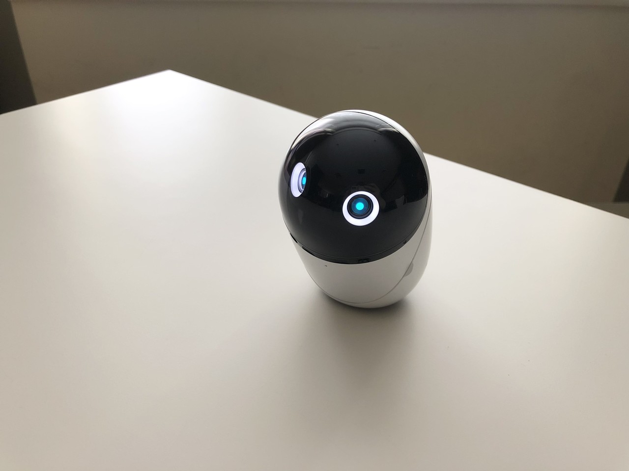 테이블 위에서 움직이고 있는 포이쿠의 모습. (사진=天ちゃんのpoiq研究所 트위터).