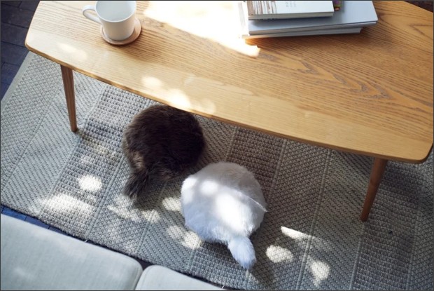 이 회사는 대기업과의 로봇시장에서 경쟁에서 차별화를 두기 위해 사람들에게 안도감을 주는 컨셉으로 승부수를 던지는 것으로 풀이된다. (사진=유카이 홈페이지).