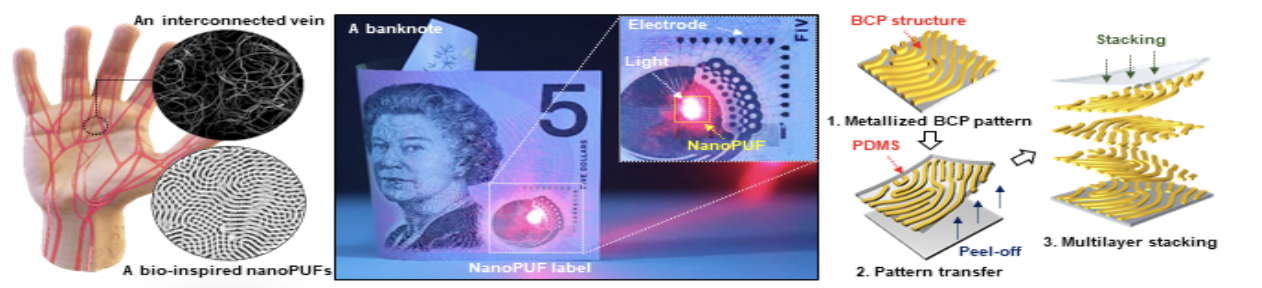 무작위 형태의 블록공중합체 자기조립 패턴을 적층하여 지문 모양의 나노 패턴의 형성 과정을 보여주는 모식도. (사진=KAIST)