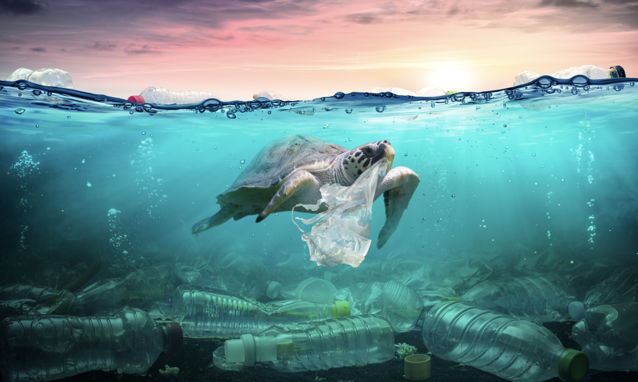 플라스틱 오염을 차단하기 위해 국내외 정부가 노력하고 있다. (사진=셔터스톡)