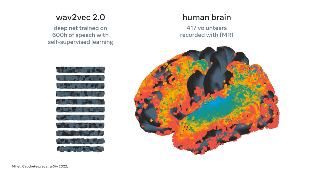 wav2vec 2.0을 활성화하면 동일한 음성 소리에 대한 응답으로 뇌에 매핑한다.(사진=메타)
