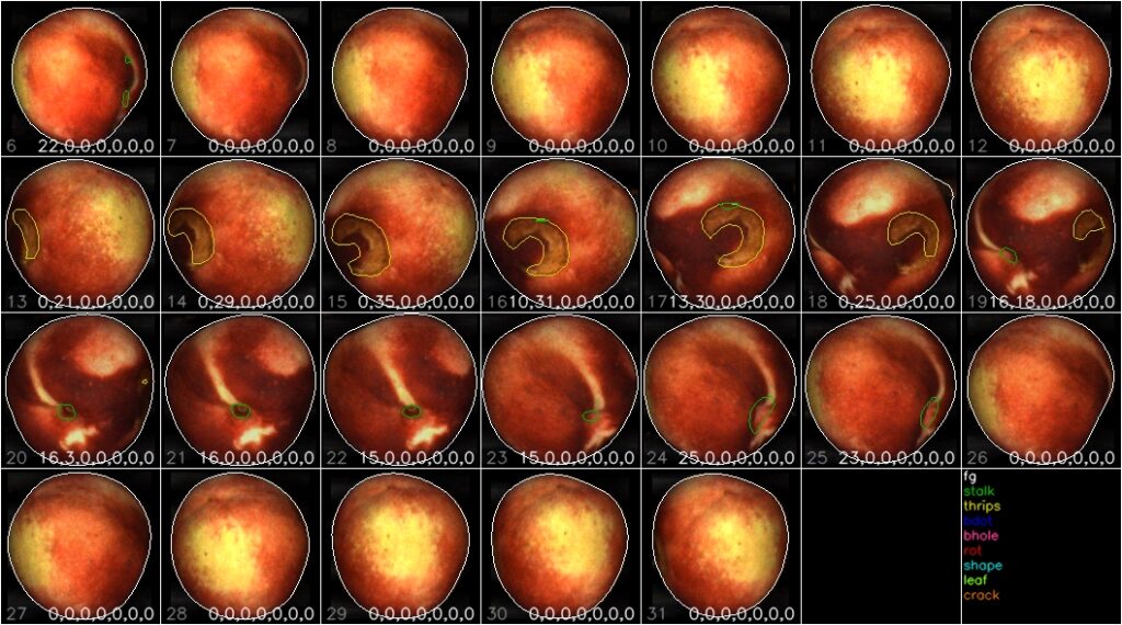 네오리틱스는 농산물에 남아 있는 잔류 화학 물질과 살충제와 섭취하기에 안전한지 여부도 확인할 수 있다.(사진=네오리틱스)