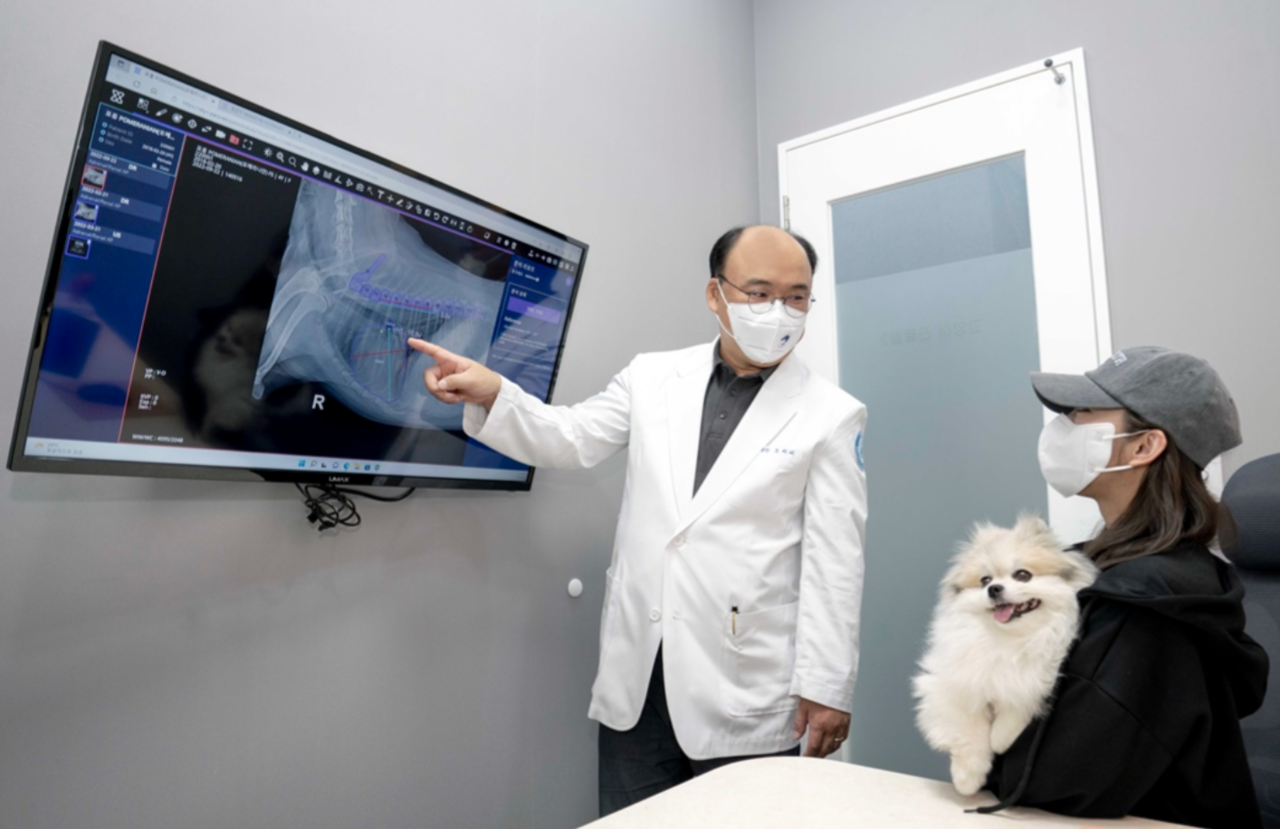 SK텔레콤(대표 유영상)은 인공지능(AI)기반 수의영상진단 보조서비스인 ‘엑스칼리버(X Caliber)’ 서비스를 시작한다고 25일 밝혔다.