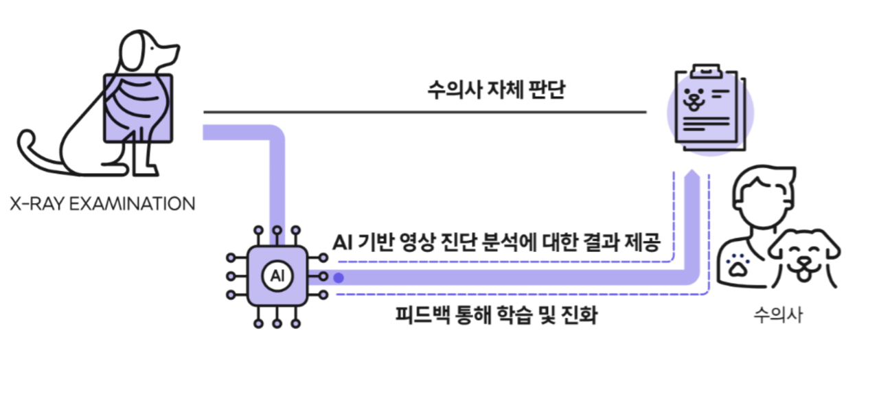 AI 기반 수의영상진단 보조서비스 ‘엑스칼리버’ 개념도 (사진=SKT)