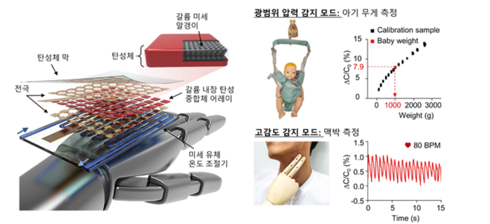 전자피부 고감도 감지 모드에서는 맥박 측정이 가능했고, 광범위 압력 감지 모드에서는 아기 무게도 잴 수 있다. (사진=KAIST)
