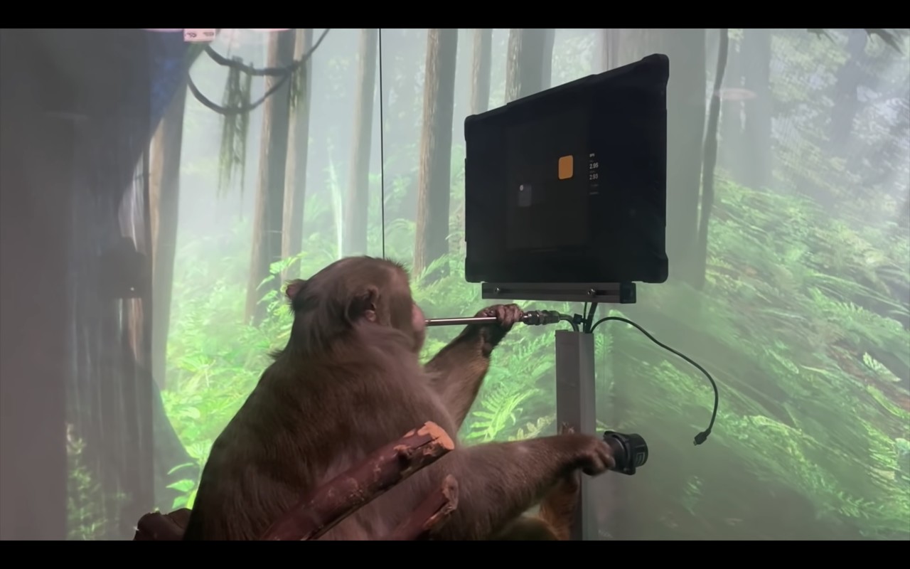 퐁 게임하는 원숭이(사진=뉴럴링크 유튜브 영상 캡처)