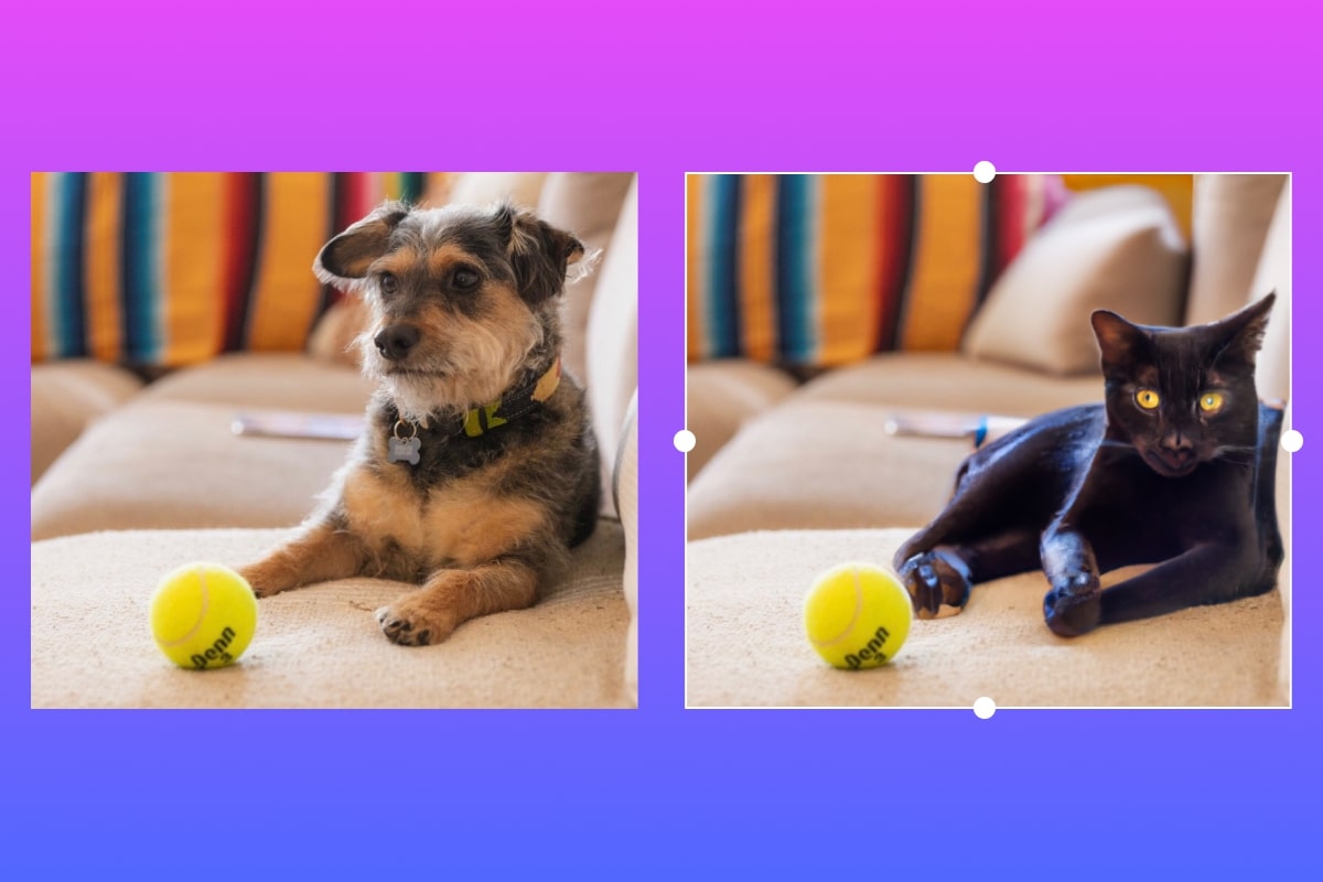 대체 기능(사진=픽스아트)