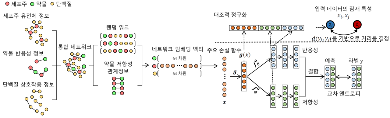 환자 맞춤형 항암제 반응성 예측 모델 구축의 작업 흐름도 (사진=UNIST)