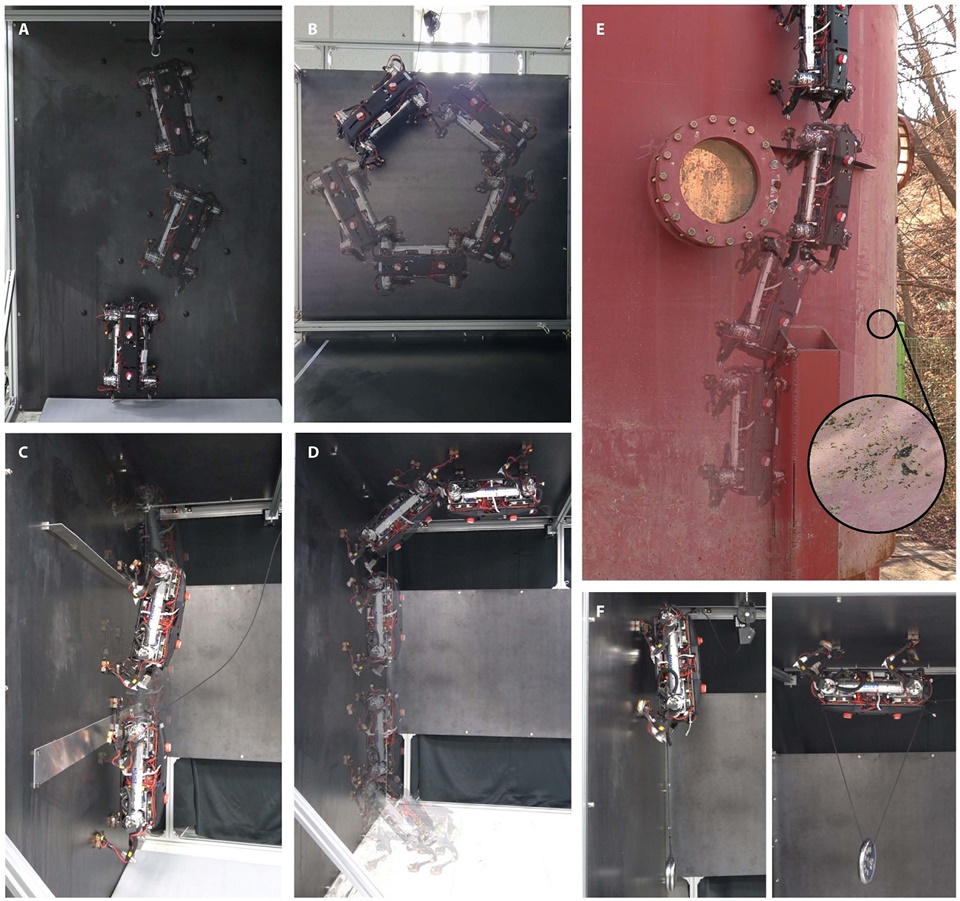 사족 보행 로봇이 벽을 타는 모습 (사진=KAIST)