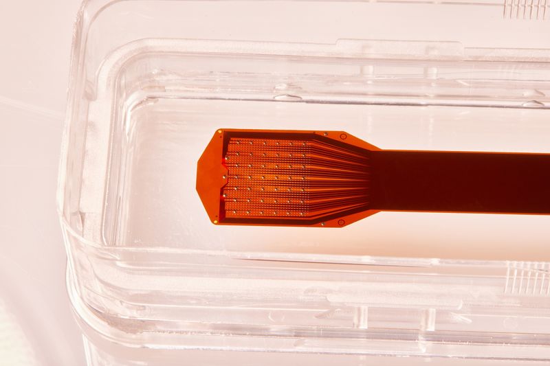 뇌 임플란트 장치  (사진=프리시즌 뉴로사이언스)