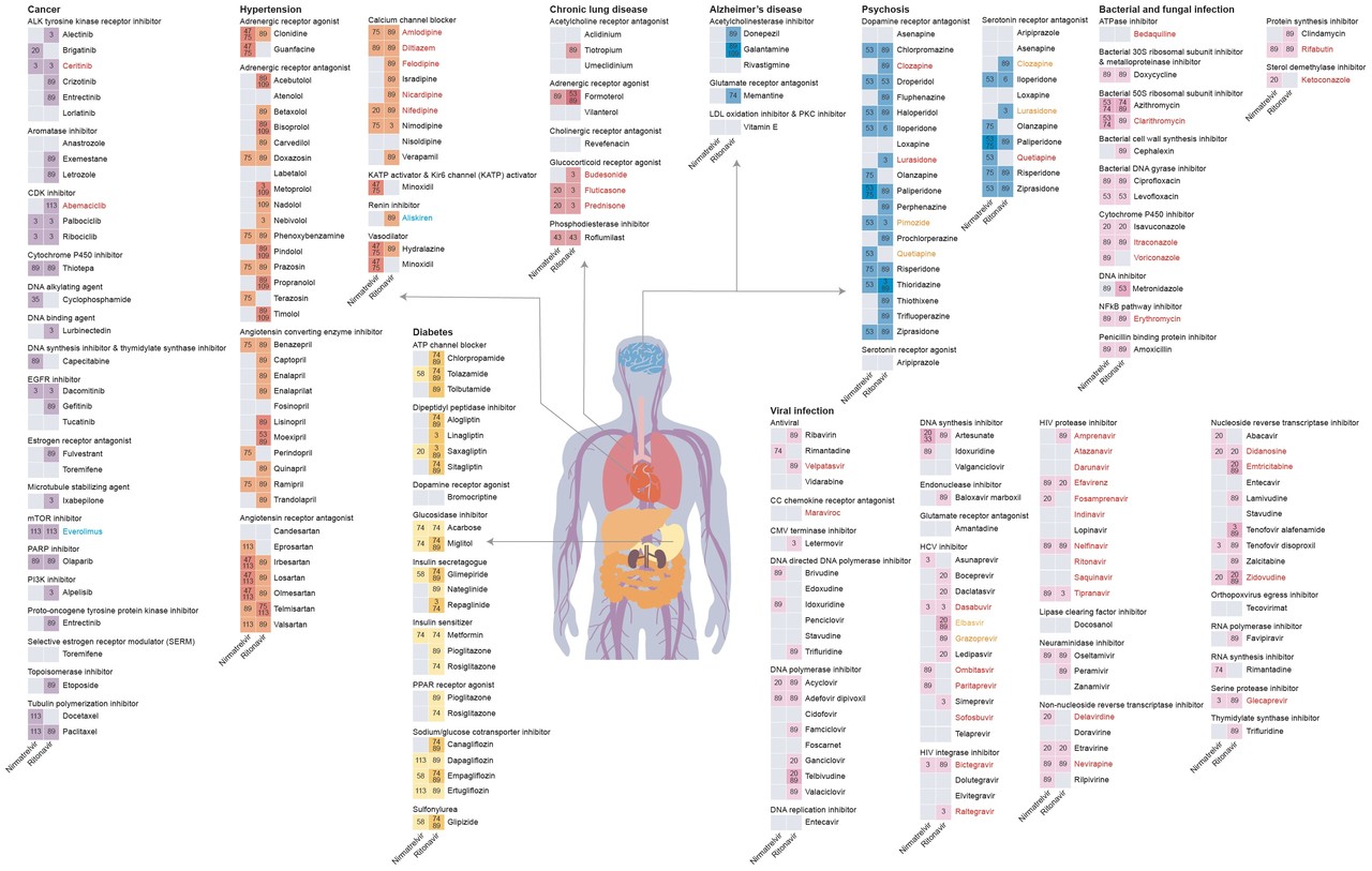 딥디디아이2를 이용한 팍스로비드 성분과 대표 승인약물 간의 약물 상호작용 예측 결과 (사진=KAIST)