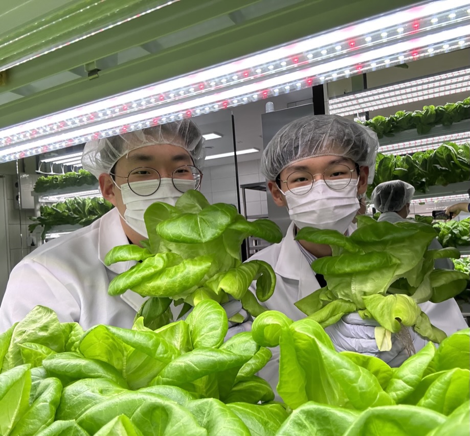 광운인공지능고 학생들이 스마트팜에서 재배 중인 작물을 살피고 있다. (사진=광운인공지능고)