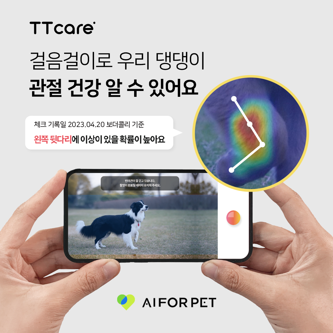 '티티케어' AI 관절 건강 서비스 (사진=에이아이포펫)