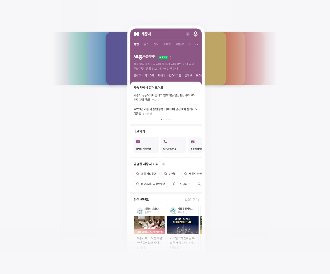 네이버 '세종시' 검색 결과 (사진=네이버)