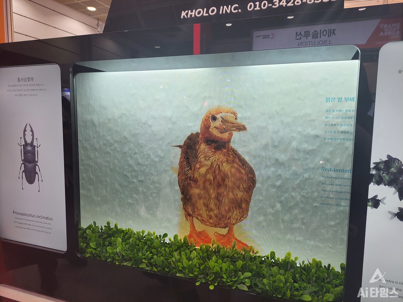 케이홀로의 3D 홀로그램 미디어