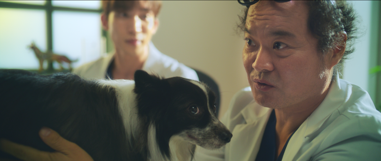 김상호가 수의.사로 분한 영상 '시고르자브 보건소' (사진=SKT)