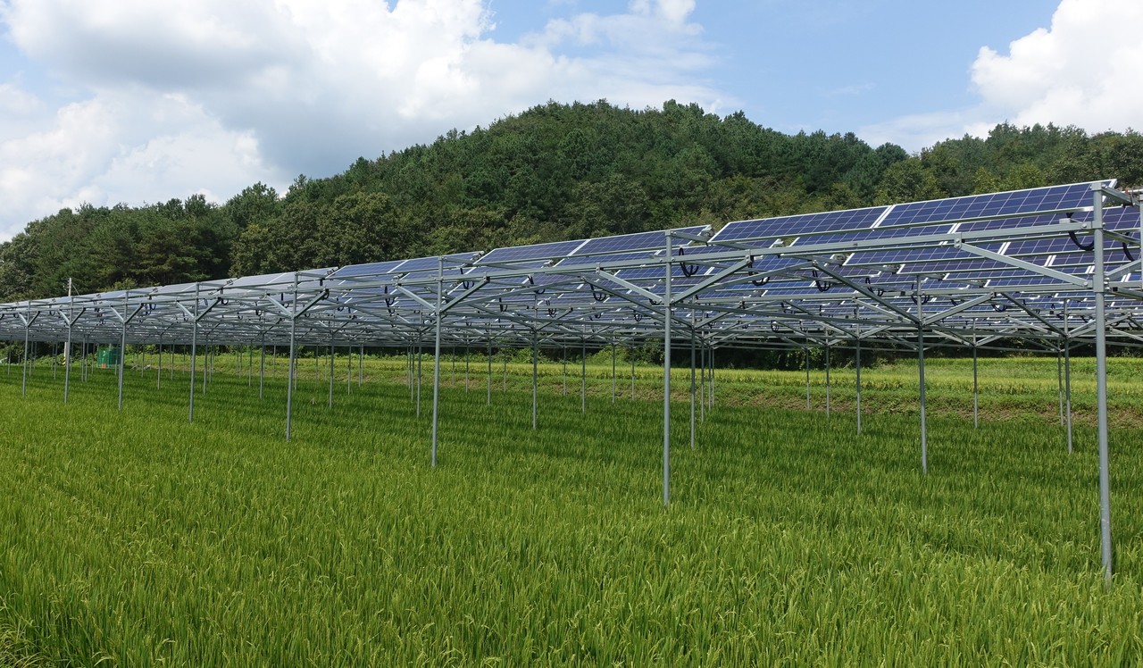 영농형 태양광(사진=전남도)