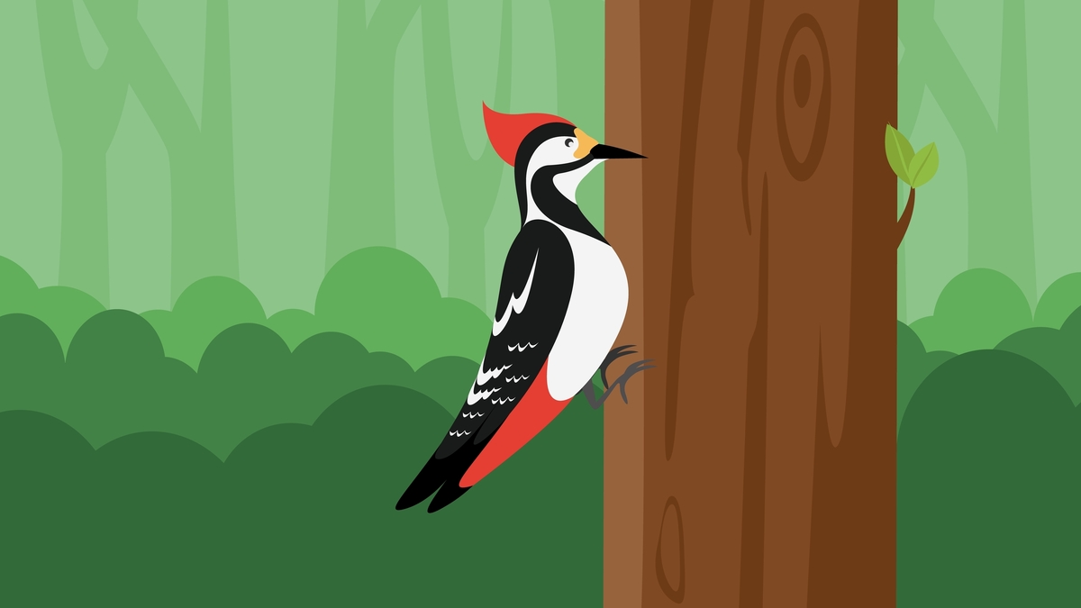 (사진=셔터스톡)